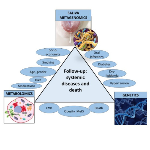 Image:  Translational dentistry