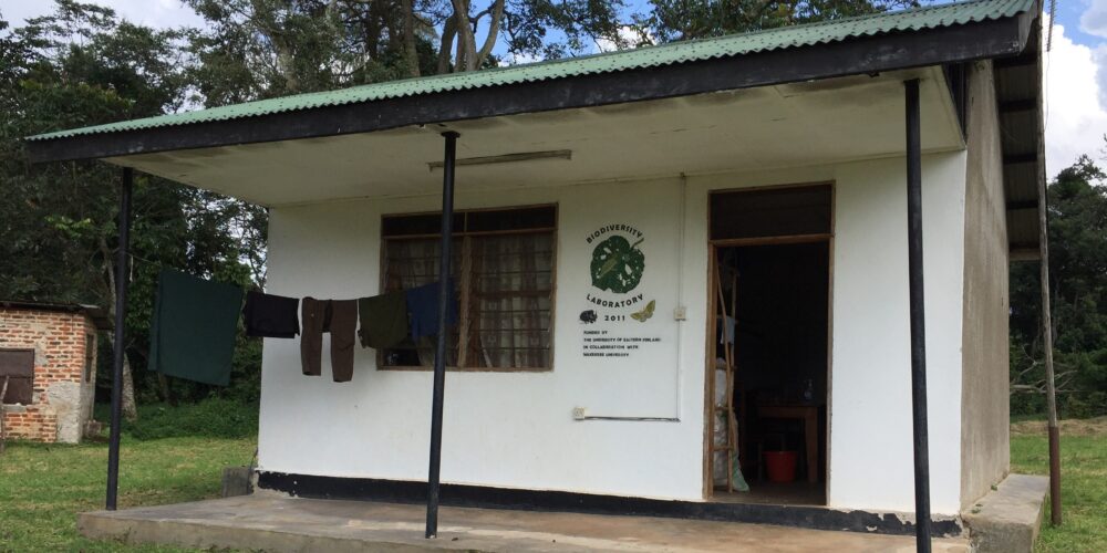 Introducing image of the groupTropical ecology and edible insects